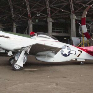 North American P-51D “Mustang” – N551D – American Markings